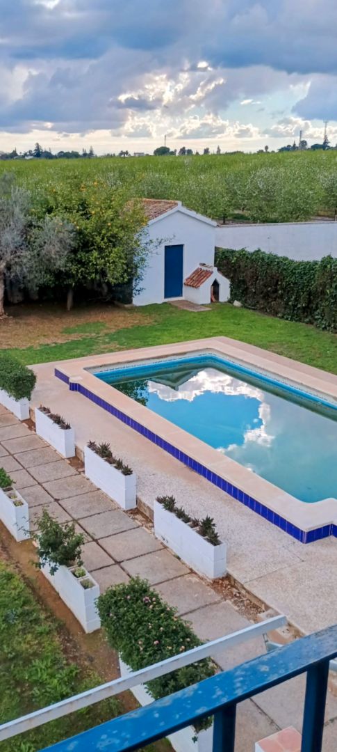 Piscina de Casa o xalet de lloguer en Espartinas