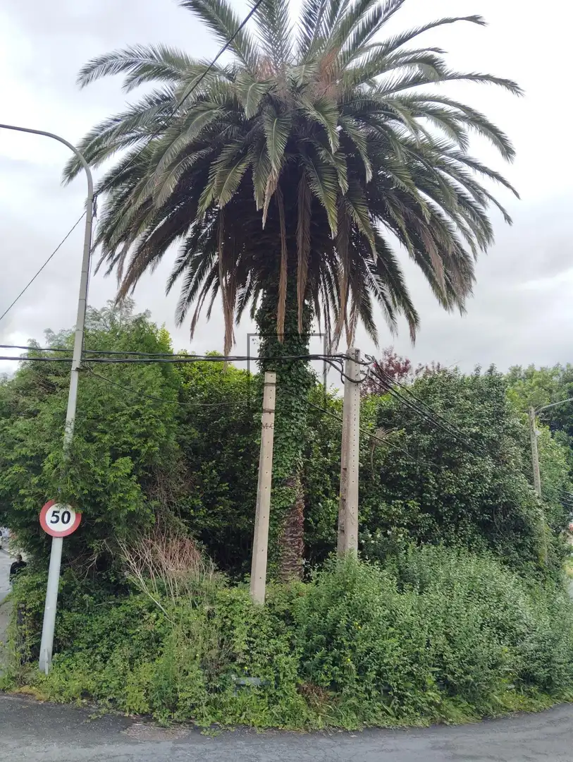 Casa amb jardí en venda a CABALO BRANCO, imagen 13