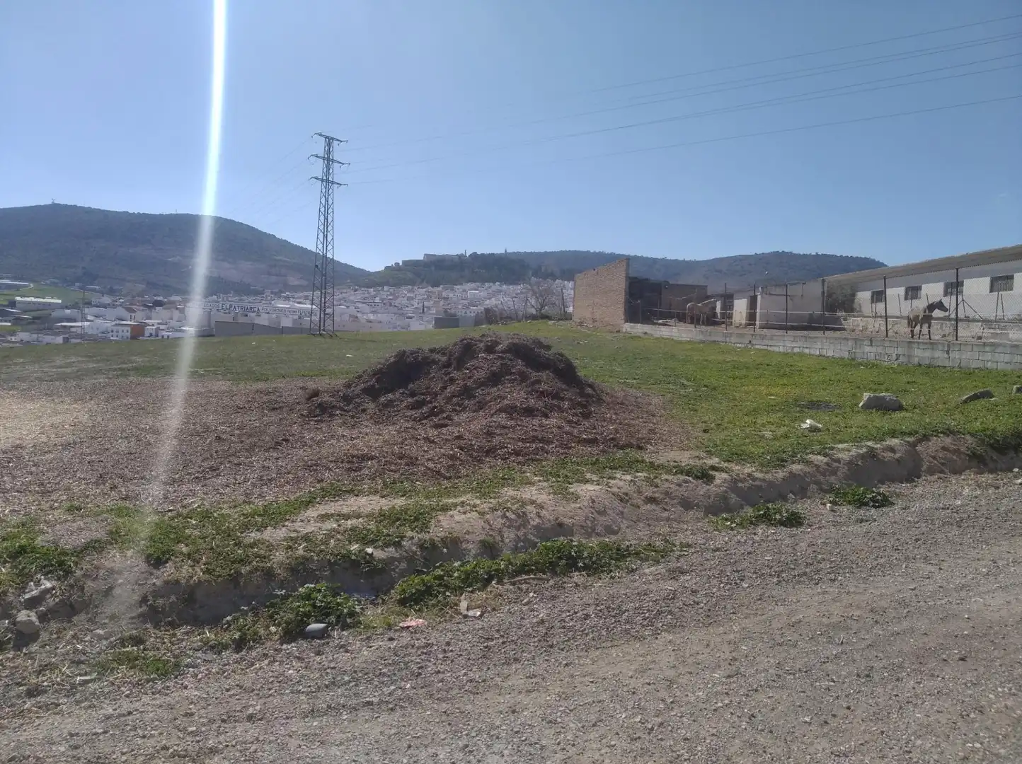 Terrenos y solares en venta en Estepa, imagen 2