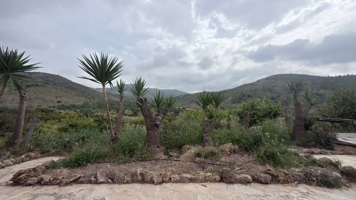 Country homes for rent in Valle de Abdalajís  with Air Conditioner, Heating and Private garden