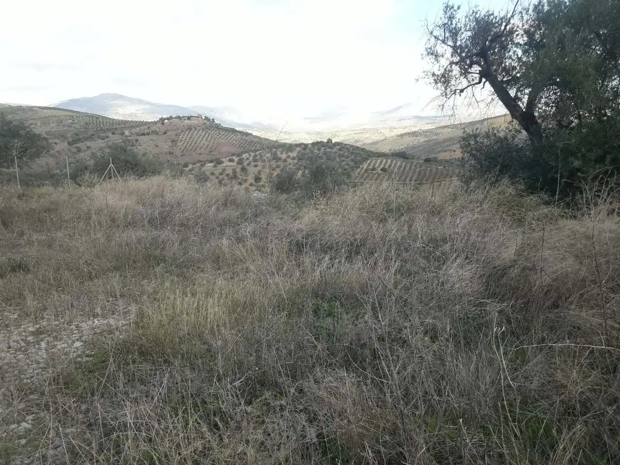 Grundstücke zum Verkauf in Cútar