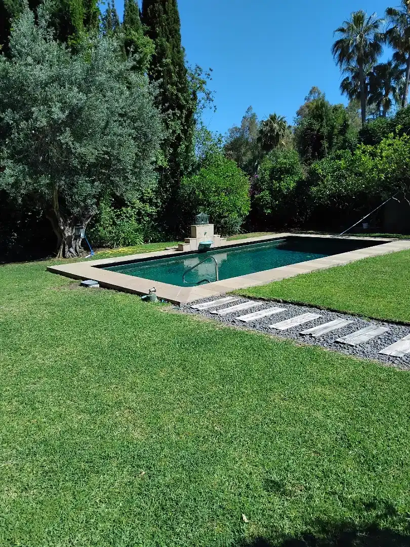 Swimming pool of Houses for rent in Nueva Andalucía