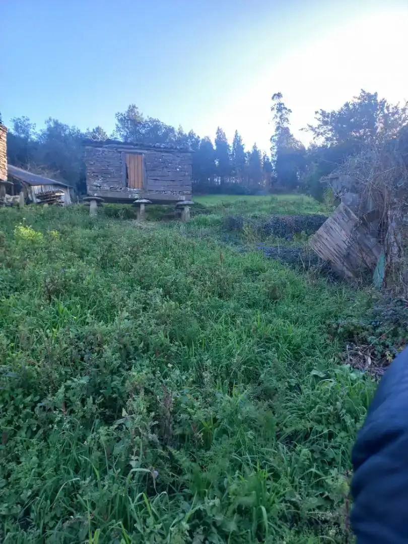 Finca rústica en venta en Zas
