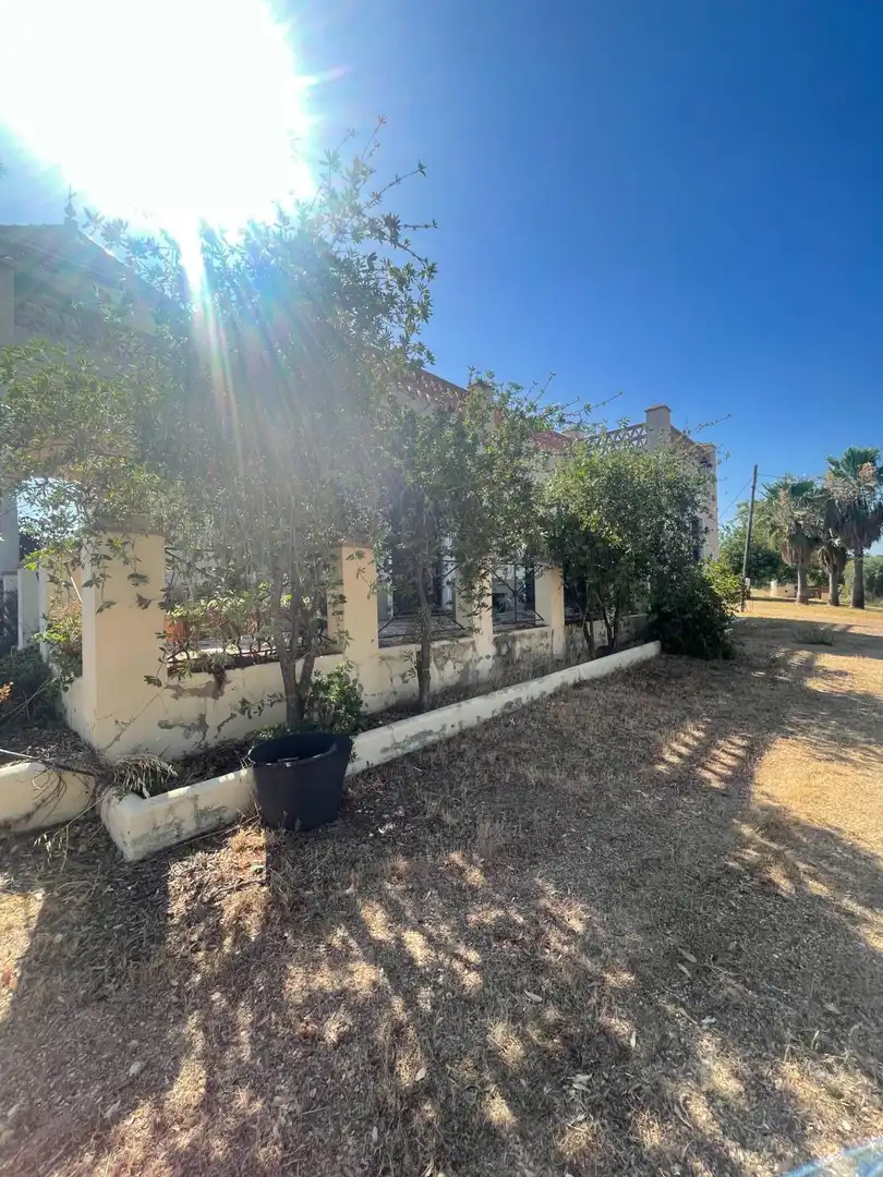 Vista exterior de Finca rústica en venta en Ayamonte con Jardín privado y Terraza