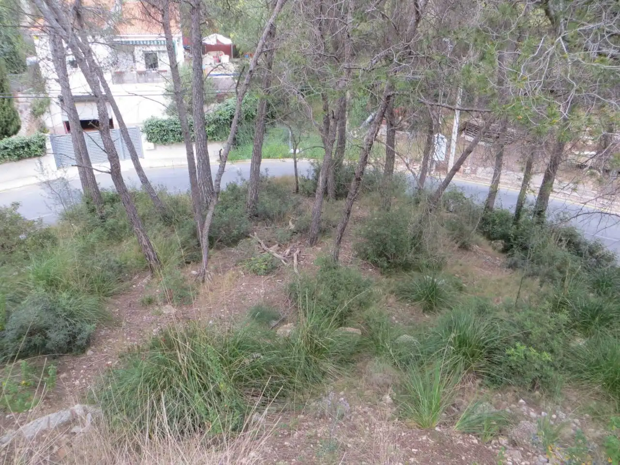 Terrain rustique à vendre à Calle goya 69, imagen 3