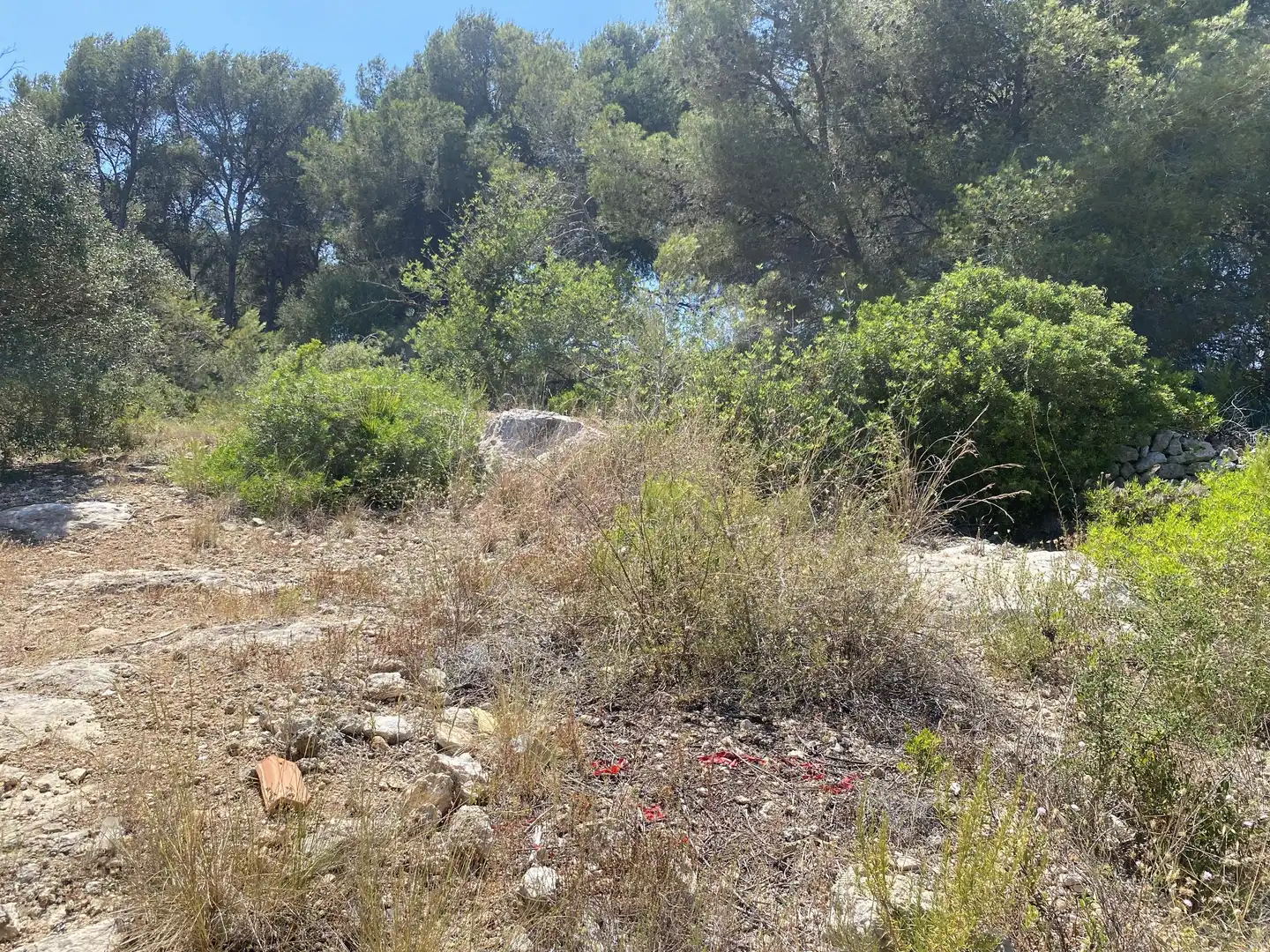 Residential land for sale in Urbanitzacions de Llevant, imagen 8
