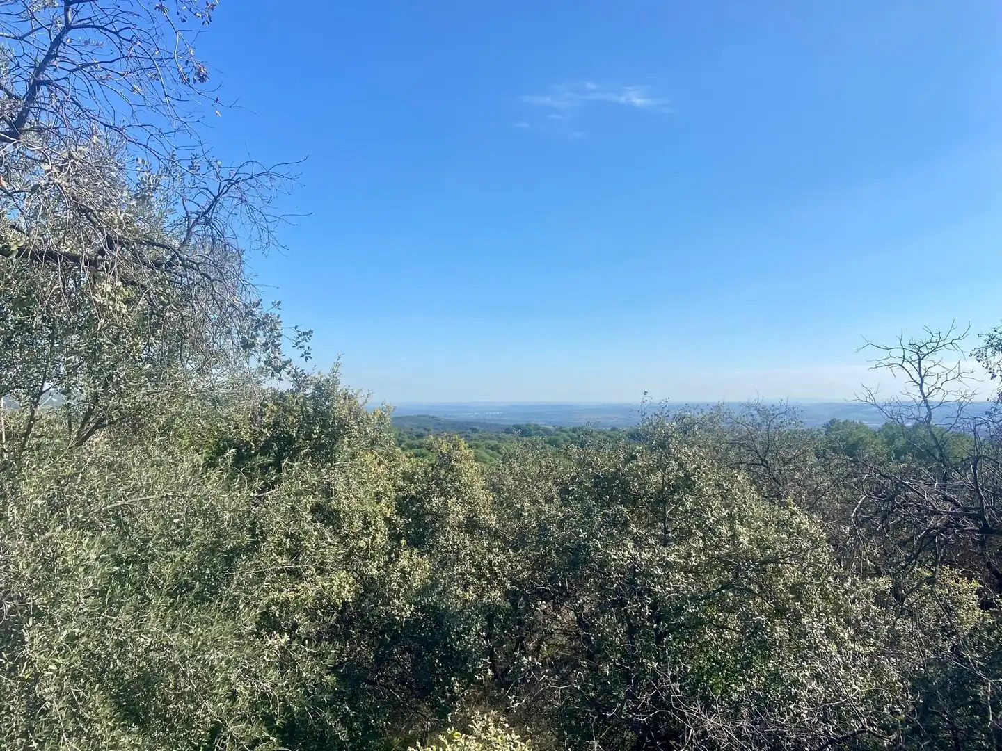 Residential land for sale in Periurbano Norte, imagen 6