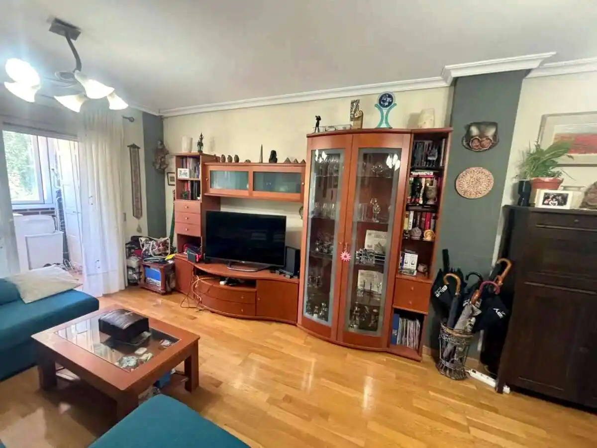 Sala d'estar de Pis en venda en Rivas Futura