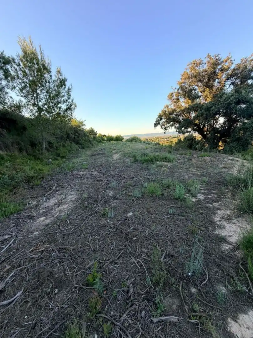 Terreny residencial en venda a El Juncal - Vallealto, imagen 23