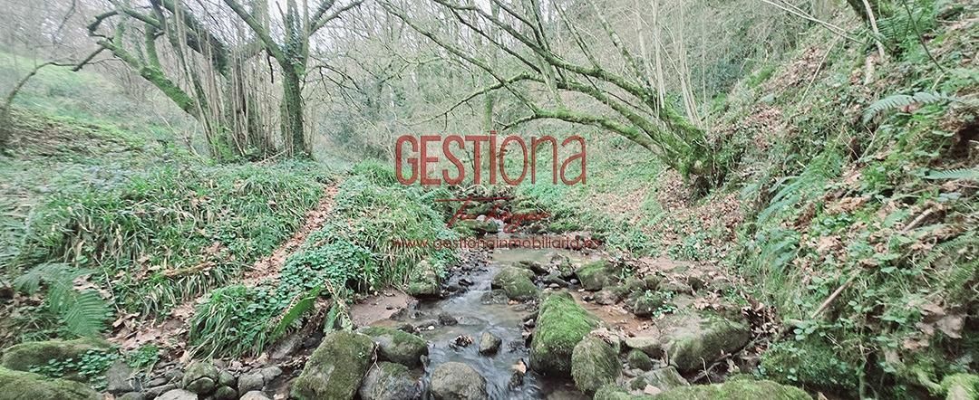 Vista exterior de Casa o chalet en venta en Penagos con Jardín privado