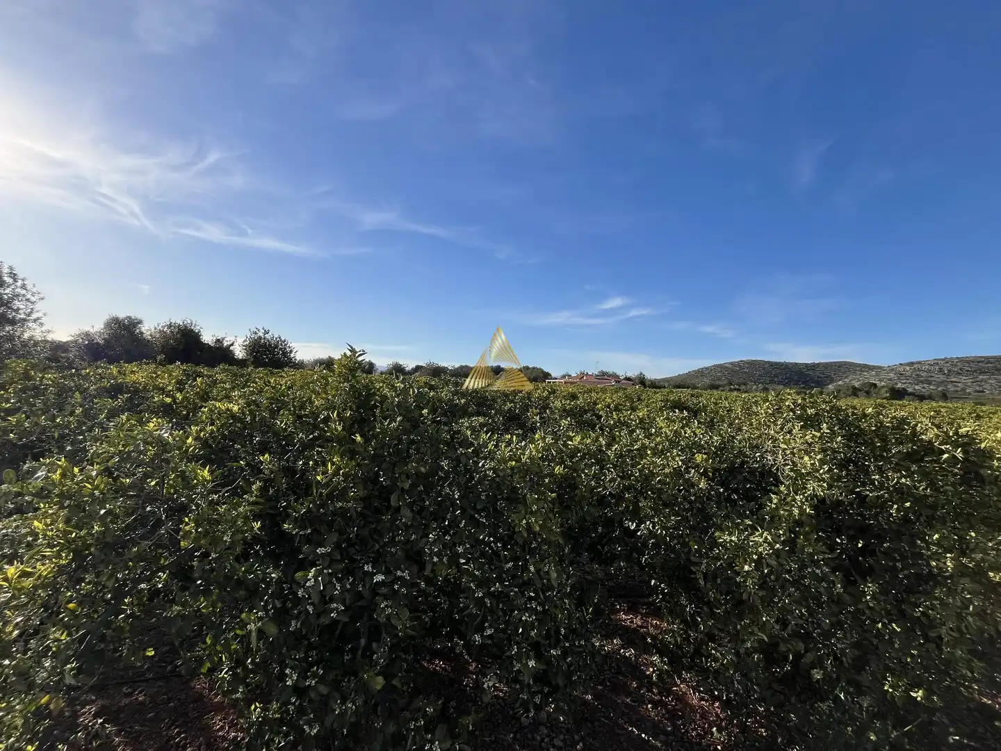 Terrenos y solares en venta en Pueblo, imagen 7