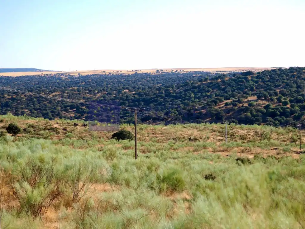 Casa o xalet en venda a Mejostilla