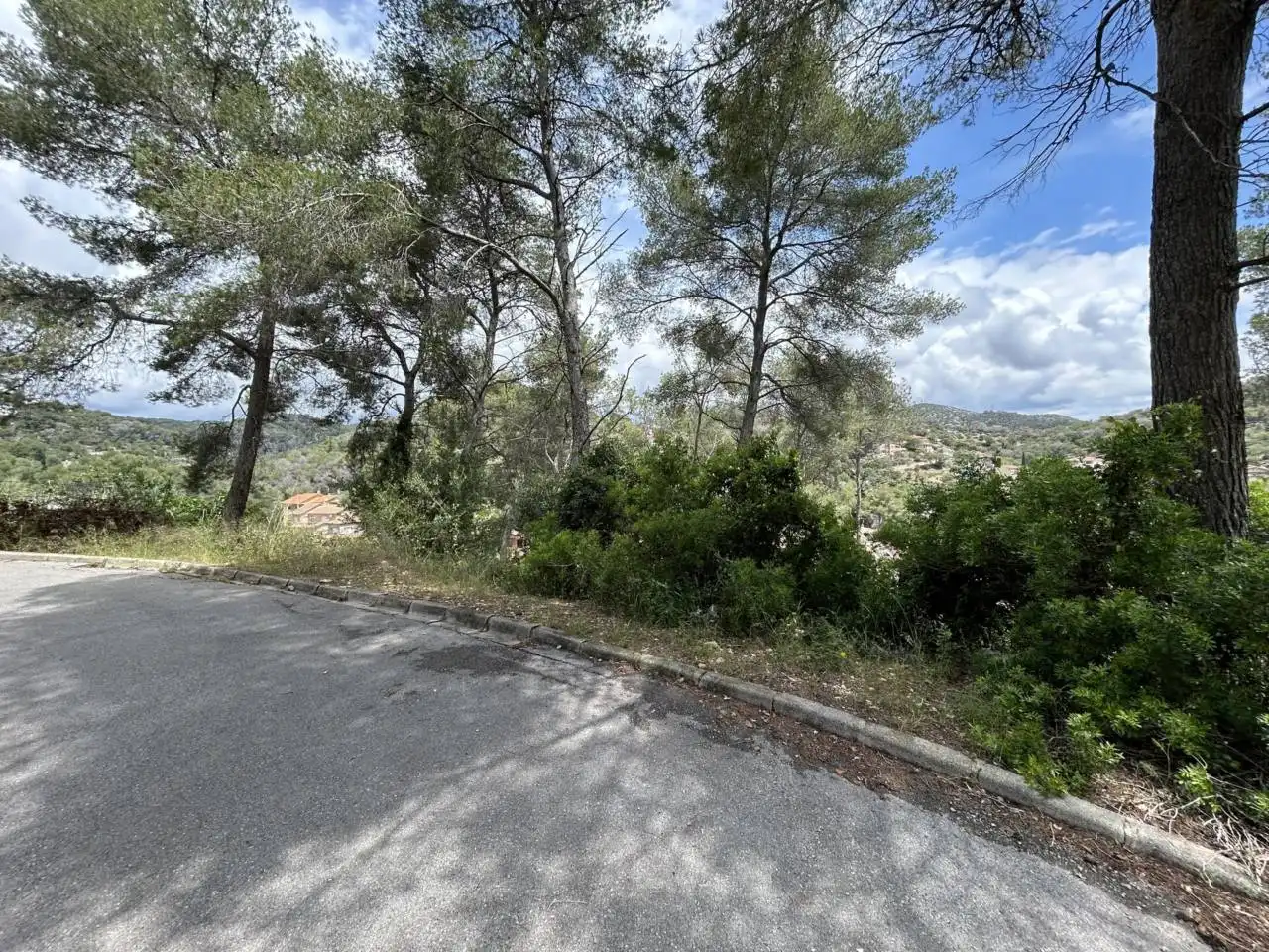 Terrain rustique à vendre à Calle SALVADOR DALI 53, imagen 4