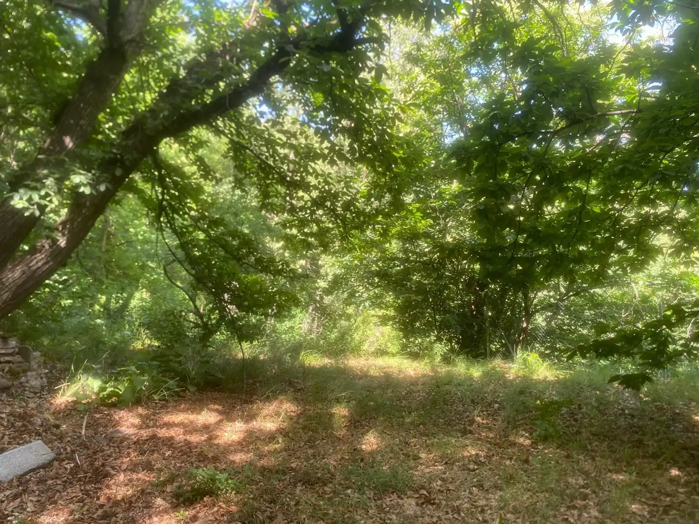 Casa amb jardí en venda a Güéjar Sierra, imagen 32