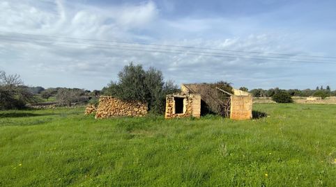 Foto 2 de Finca rústica en venda a Santa Margalida Poble, Santa Margalida