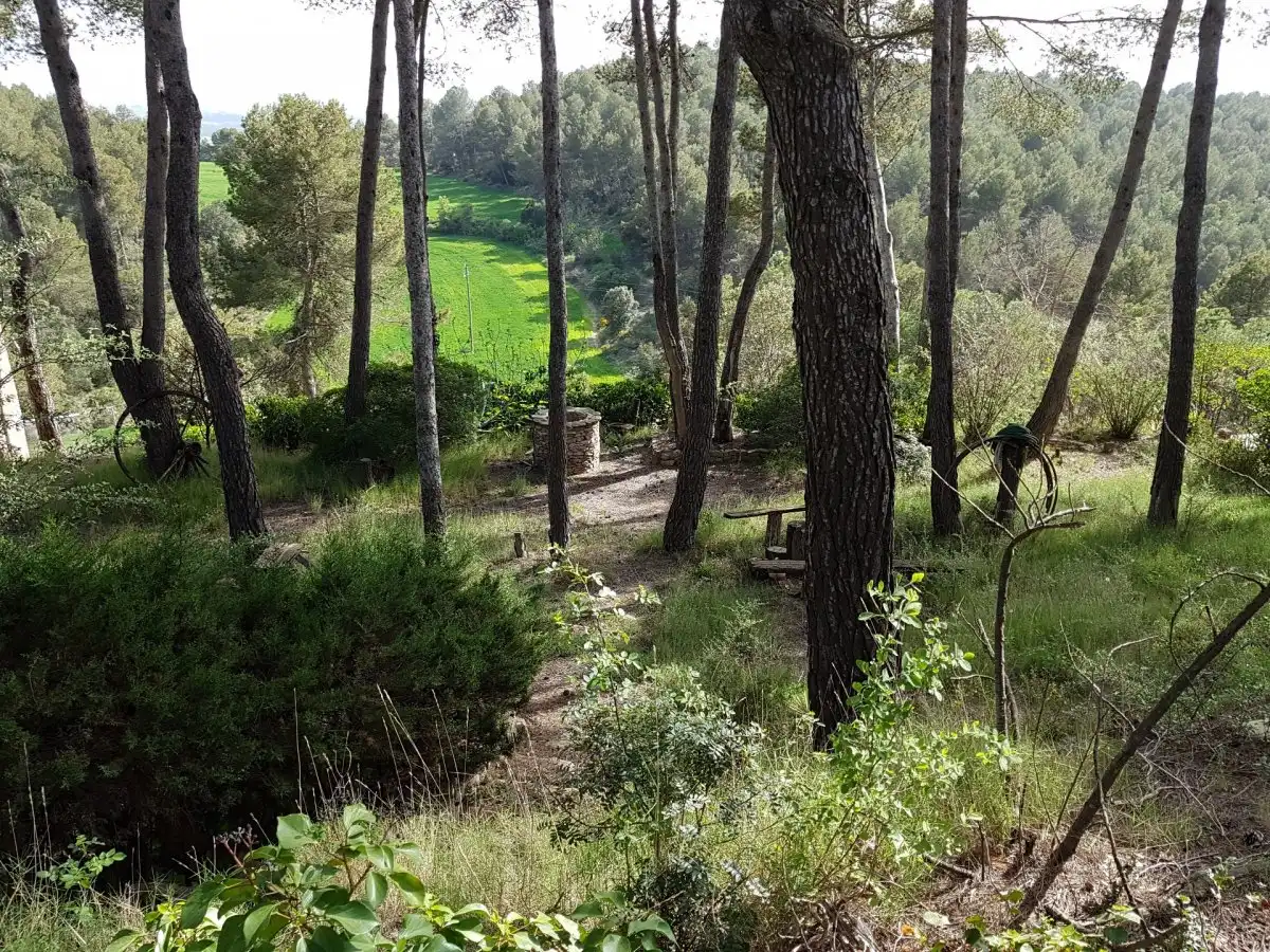 Terreny residencial en venda a Castellnou de Bages, imagen 2