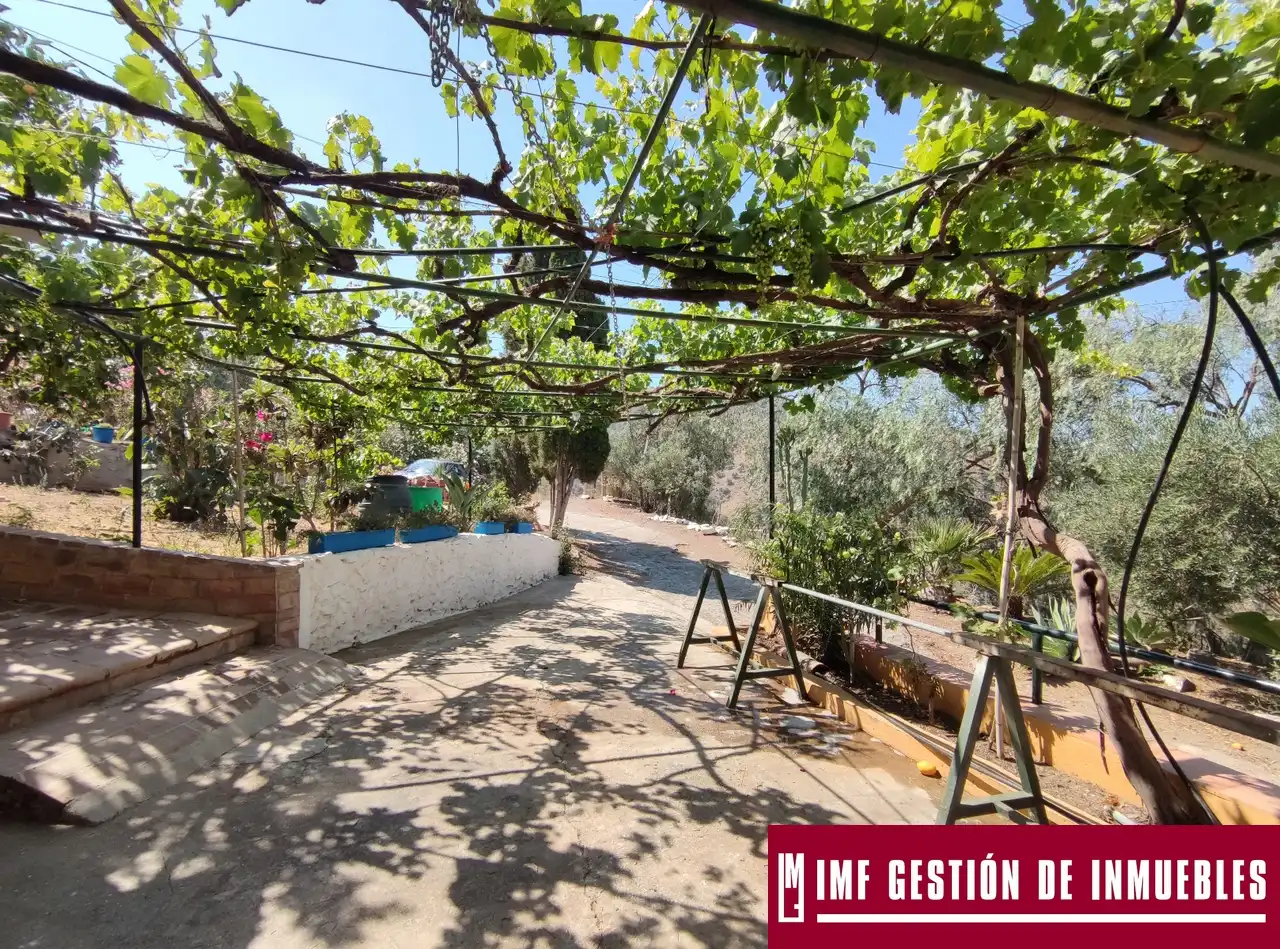 Vista exterior de Finca rústica en venta en Canillas de Aceituno con Jardín privado, Terraza y Amueblado
