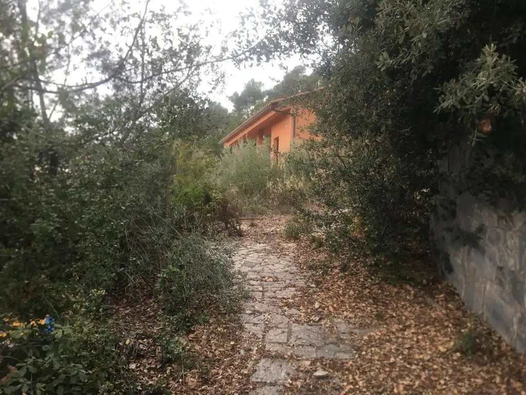 Terreny rústic en venda a C/ Castanyer (Parc 6- Polig 4) Creu d´Aragall, imagen 7