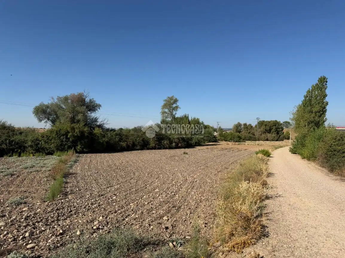 Terreny rústic en venda a Fuente El Saz de Jarama