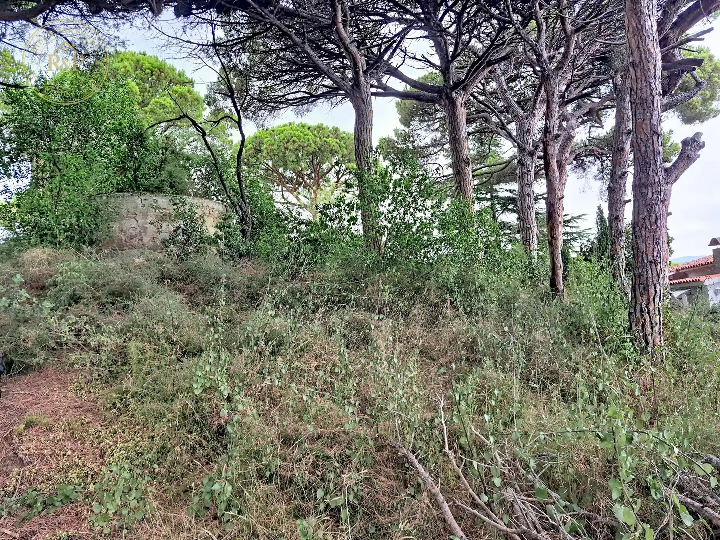 Terreno residenziale in vendita a Camino Vell de Caldes, imagen 15