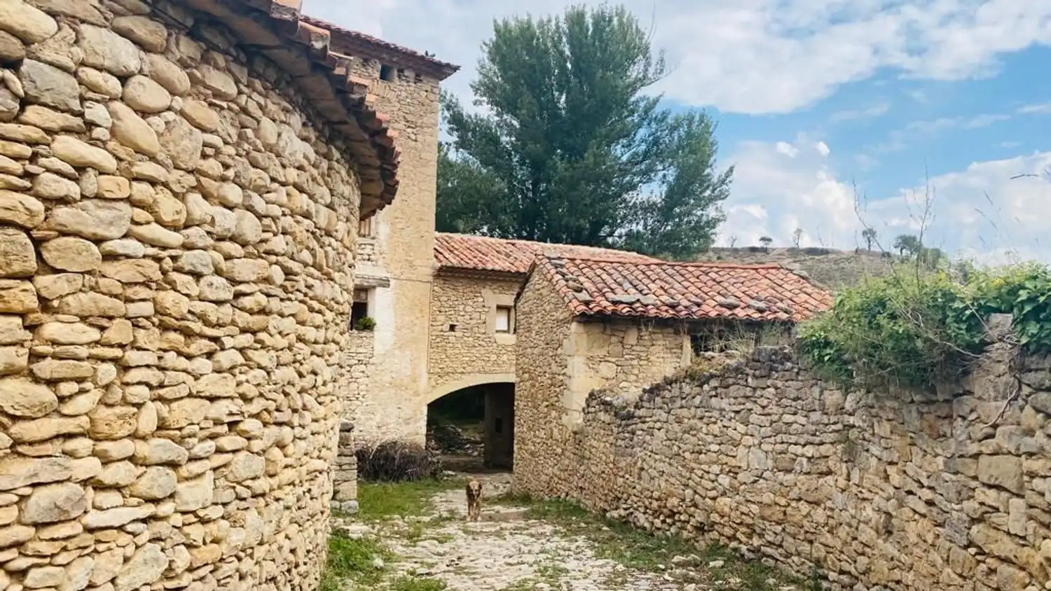 Vista exterior de Finca rústica en venda en Olocau del Rey amb Terrassa i Traster
