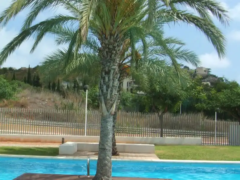 Apartment mit Garten zur Miete in CALLE EL RALL 8, imagen 37