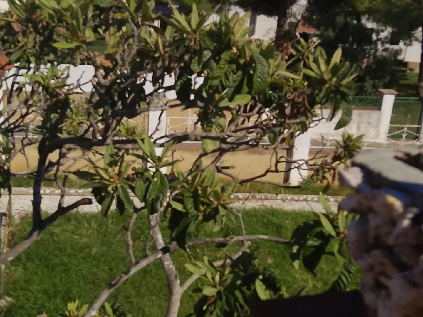 Casa amb jardí en venda a STA GEMMA, imagen 18