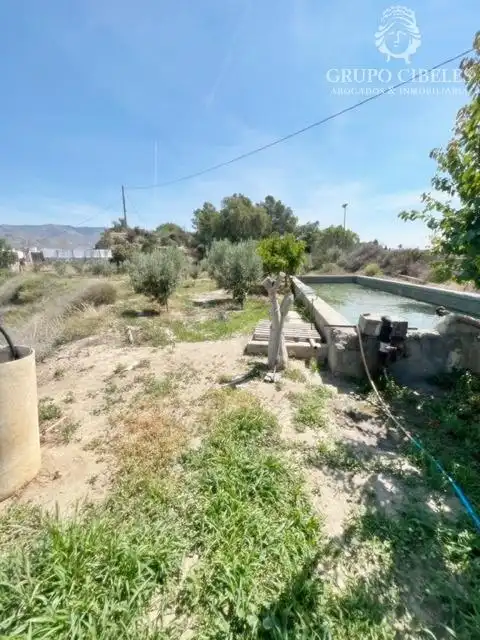 Finca rústica en venta en Pechina