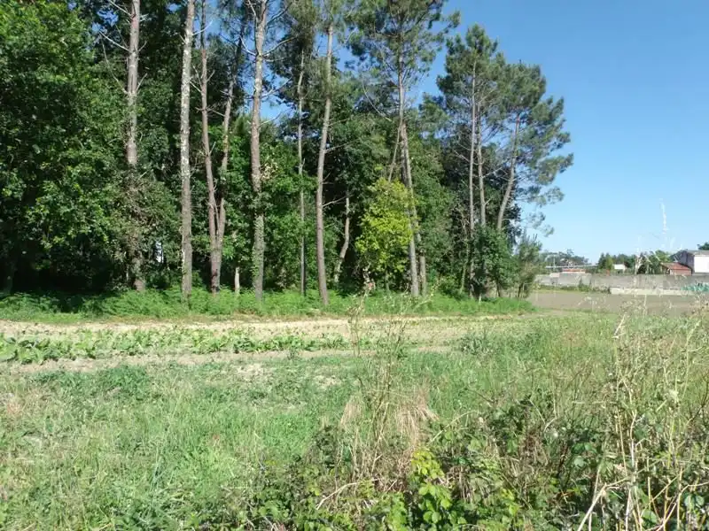 Wohnbaugrundstück zum Verkauf in Boiro, imagen 3