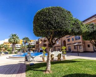 Exterior view of Flat to rent in Torrevieja  with Air Conditioner, Swimming Pool and Balcony