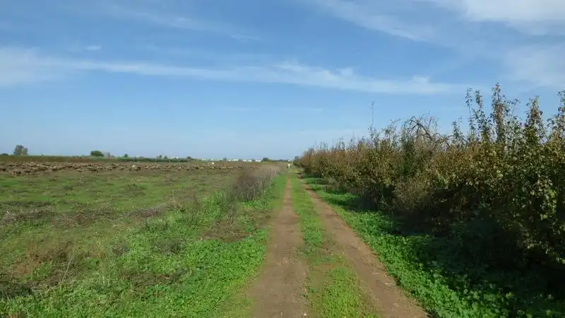 Nave industrial en venta en Puebla de la Calzada