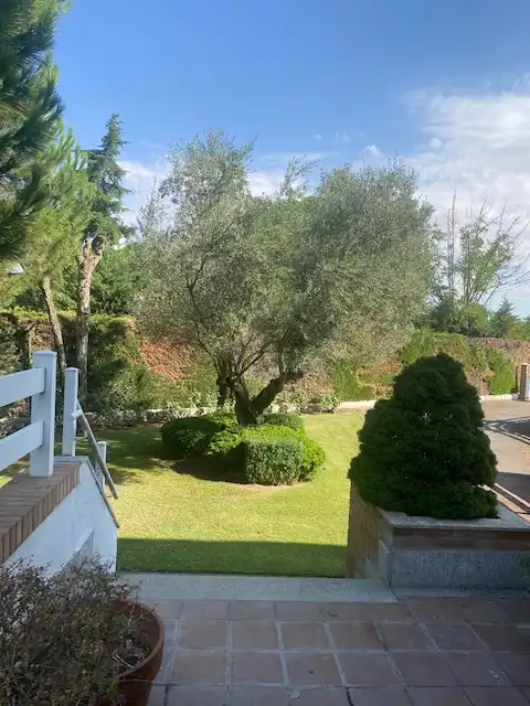Xalet amb terrassa en venda a Carretera Madrid, imagen 7