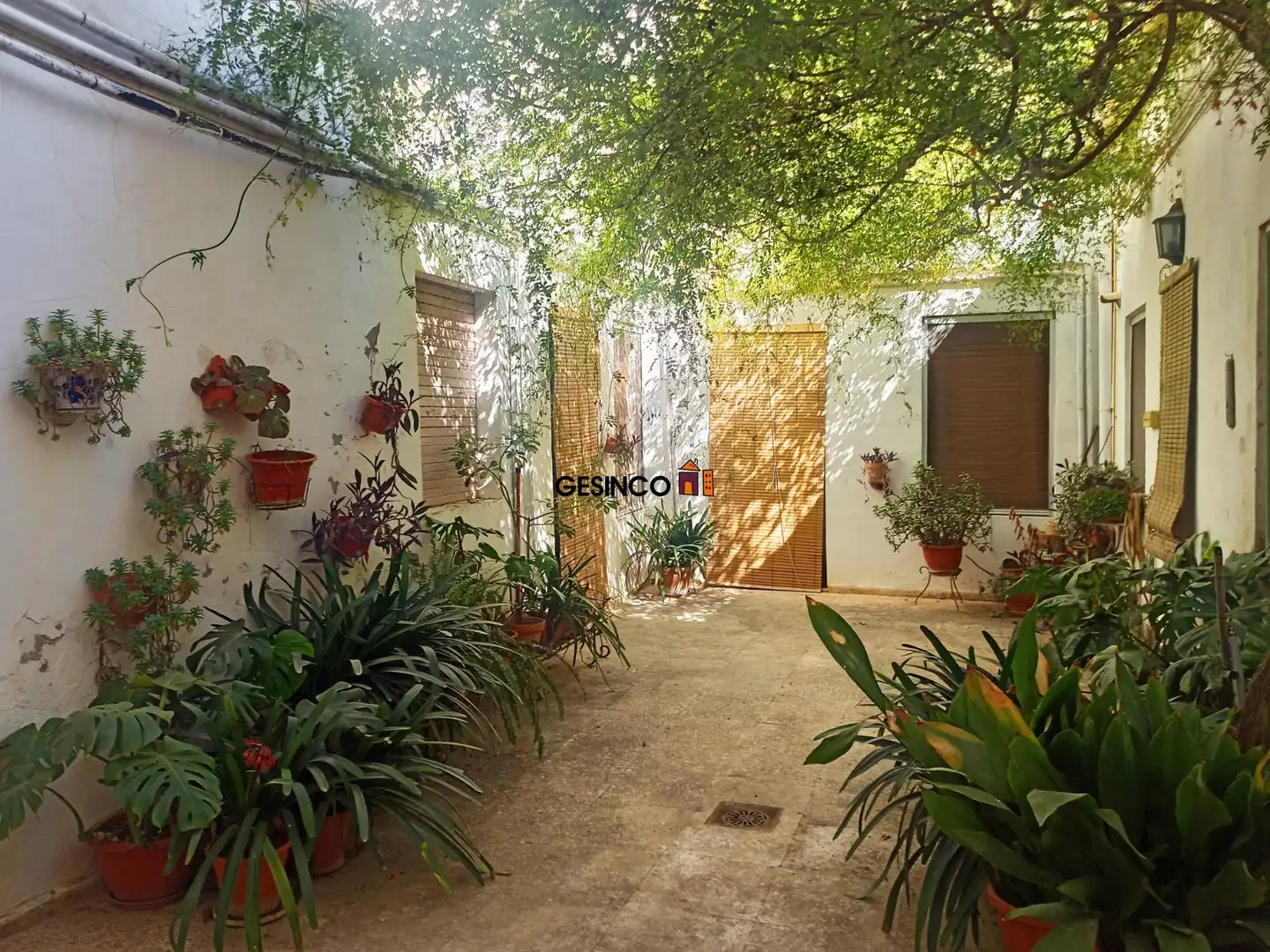 Casa amb terrassa en venda a Aielo de Malferit