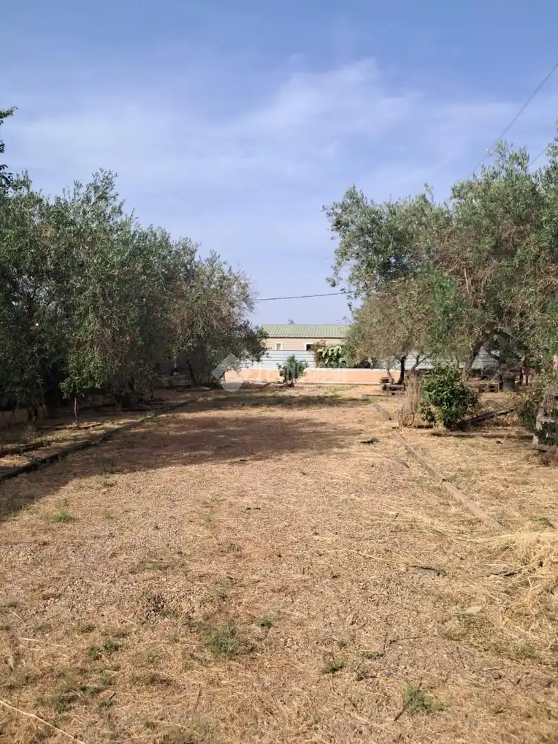 Finca rústica en venta en Carmona