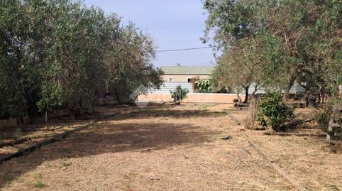 Foto 5 de Finca rústica en venda a Carmona, Sevilla