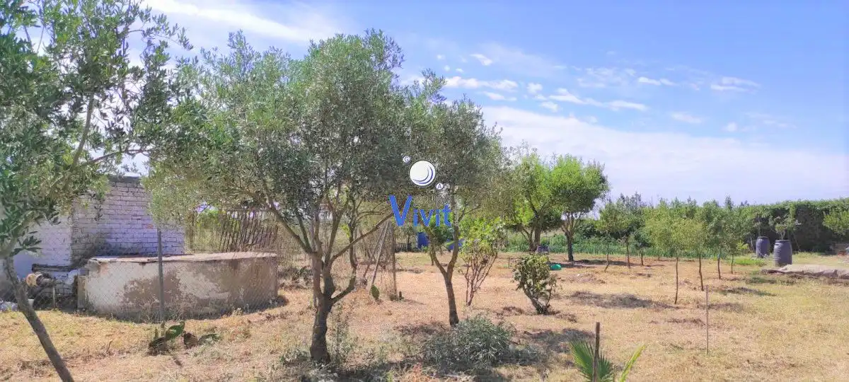 Terrenos y solares en venta en Pedanías Sur
