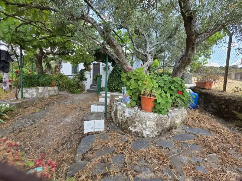 Terreni e lotti in vendita a Miralvalle - Av. Virgen del Puerto - La Data, imagen 2