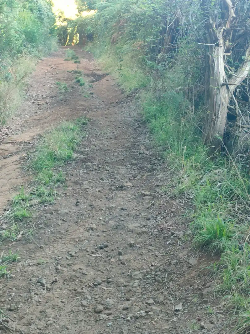 Terreny rústic en venda a El Sauzal, imagen 10