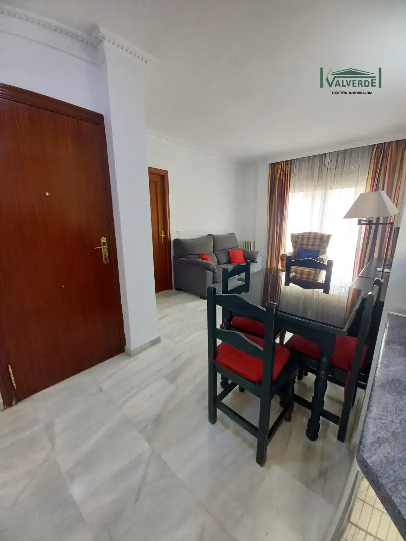 Living room of Flat for rent in Granada  with Air Conditioner, Heating and Furnished