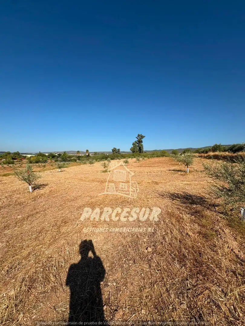 Terreno rustico in vendita a Periurbano Oeste - Sierra, imagen 6