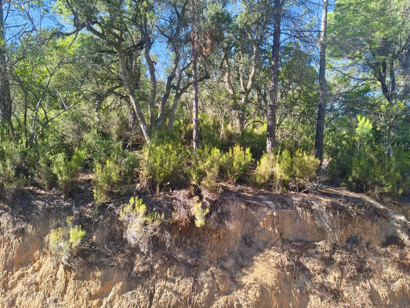 Terreno rustico in vendita a N/A, imagen 3