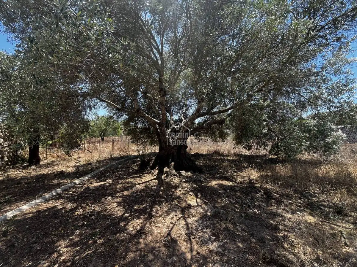 Finca rústica en venda en Maó - Mahón