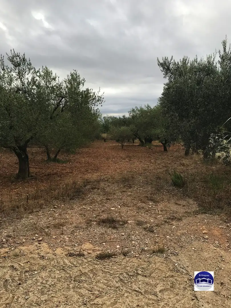 Residencial en venda en Terrassa