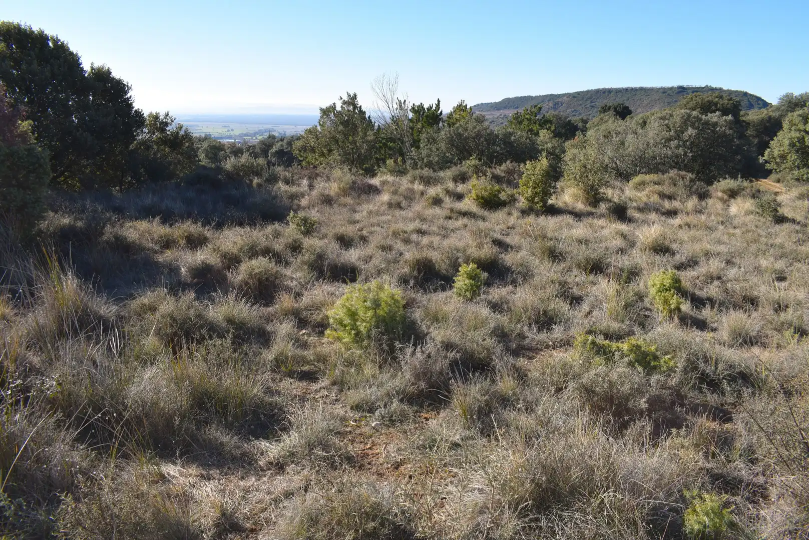 Residencial en venta en Nueno