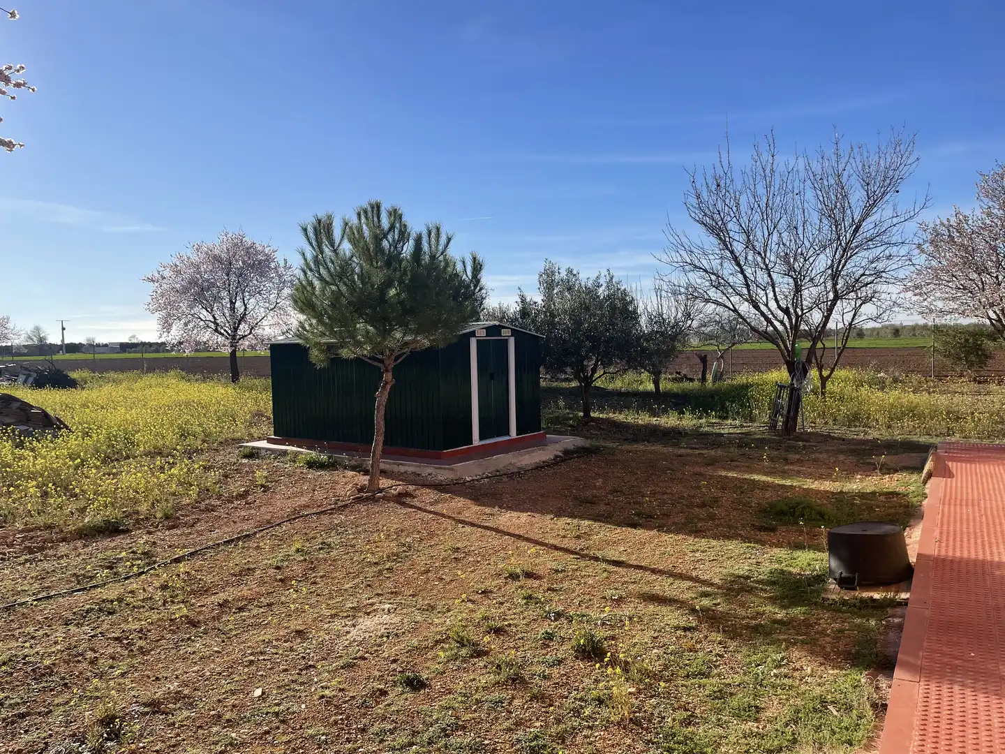 Chalet con jardín en venta en CM-3109 1, imagen 19