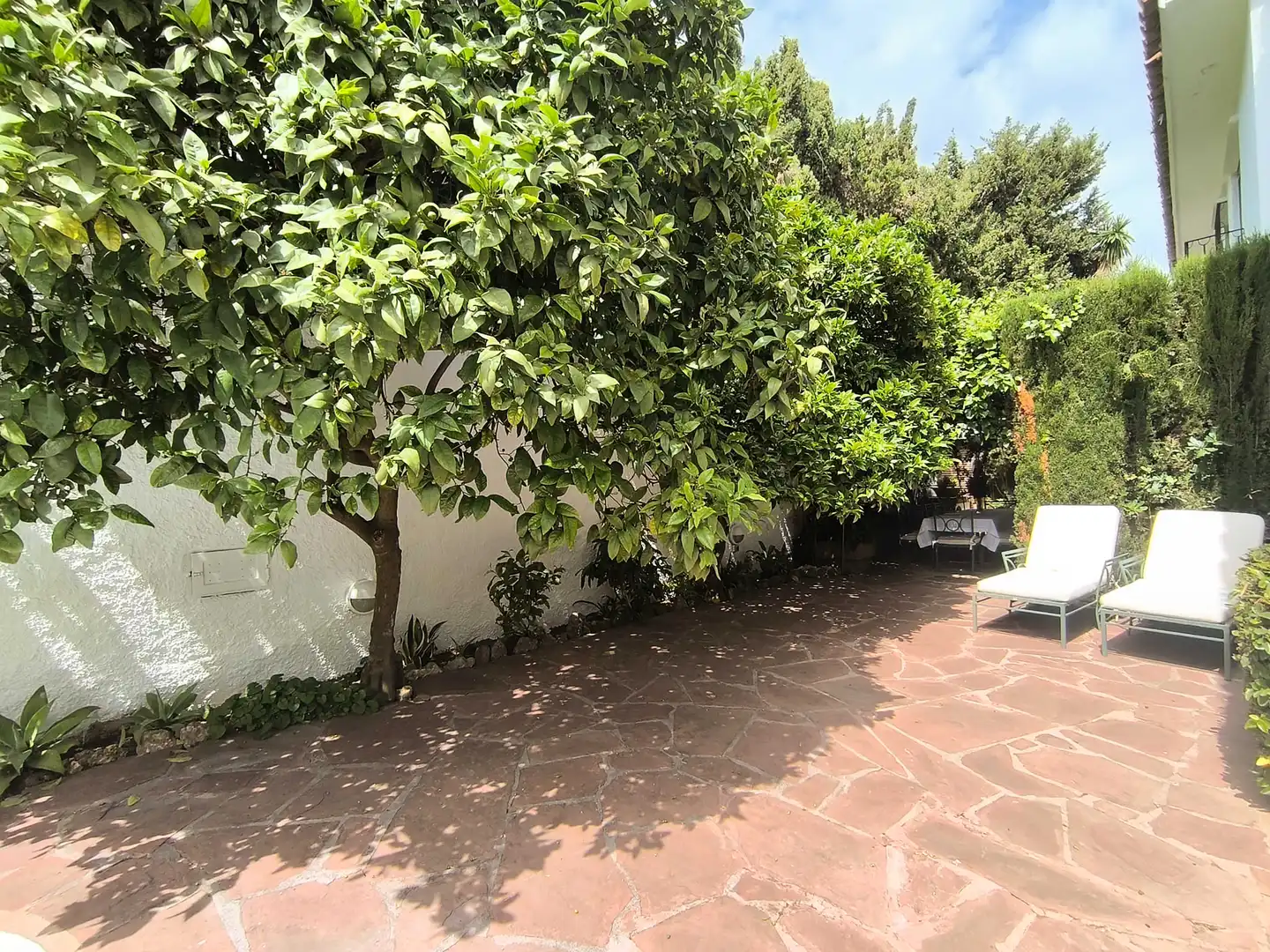 Casa con piscina en venta en Río Real - Los Monteros, imagen 56