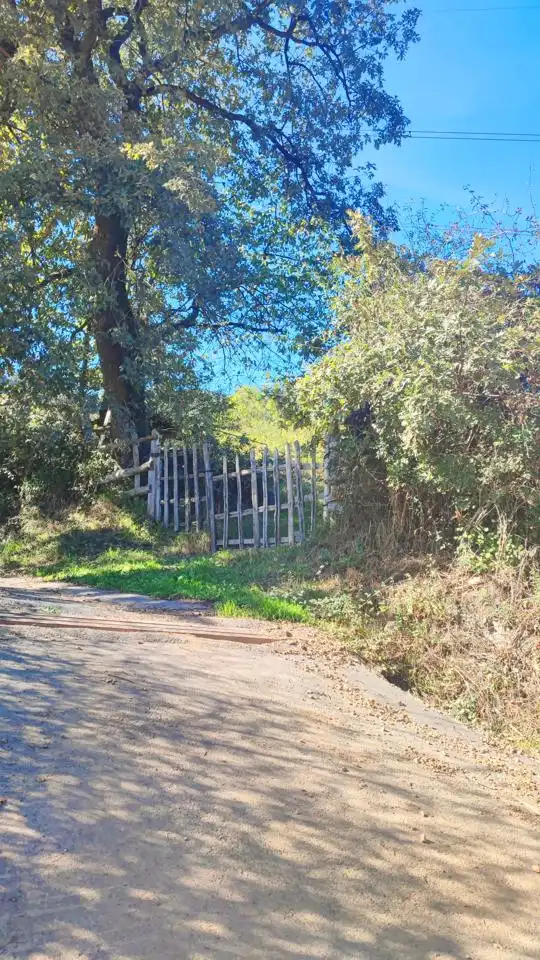 Land for sale in Lena