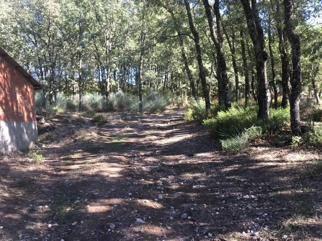 Terreni e lotti in vendita a Jarandilla de la Vera, imagen 12