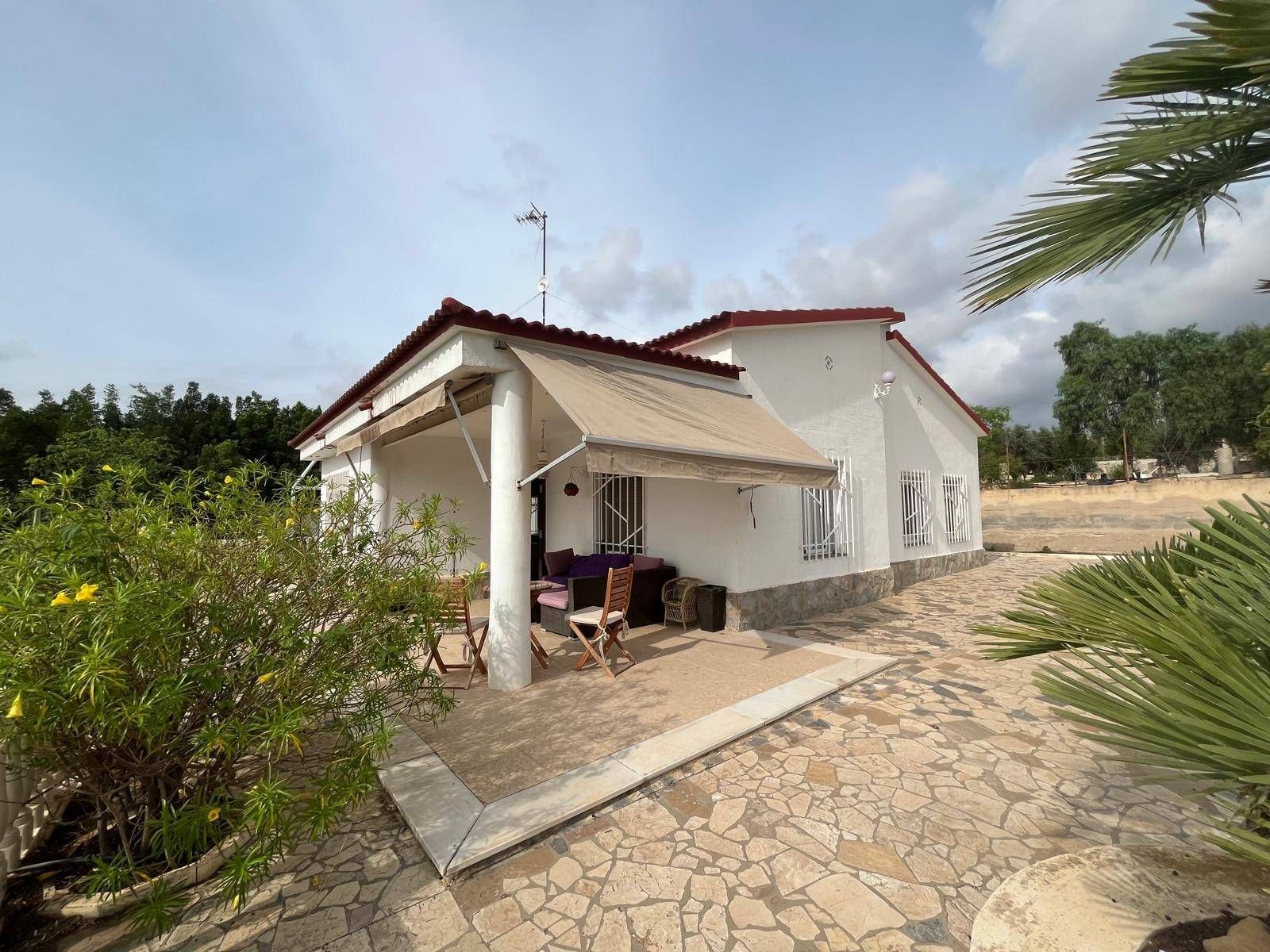 Exterior view of House or chalet for sale in Elche / Elx  with Private garden, Terrace and Swimming Pool
