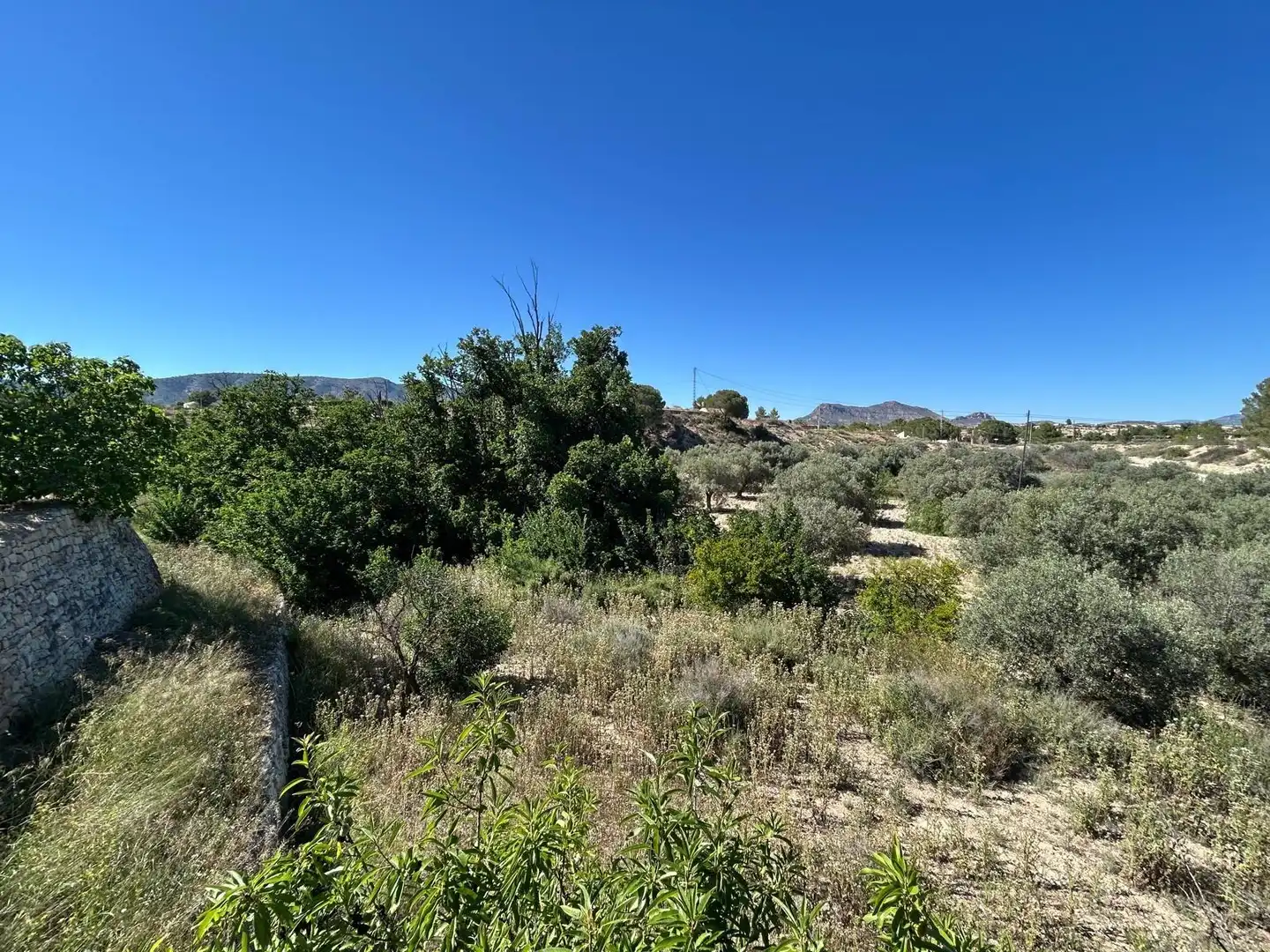 Casa rústica amb jardí en venda a Monóvar  / Monòver, imagen 6